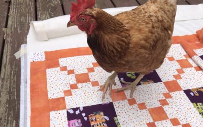 Spray Basting a Quilt